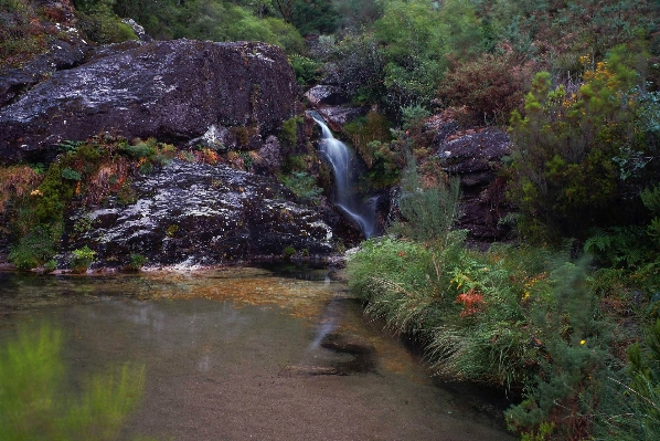 Photo Arbre eau rock cascade