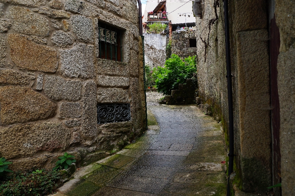 風景 道 街 家