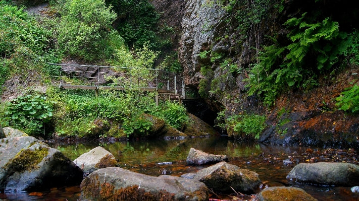 Landscape forest waterfall creek Photo