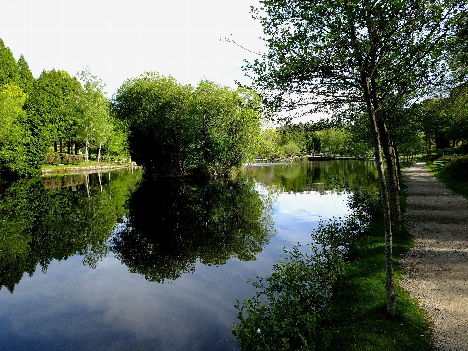 Paisaje árbol agua naturaleza