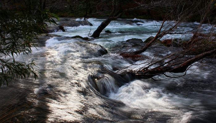 Landscape water nature rock Photo