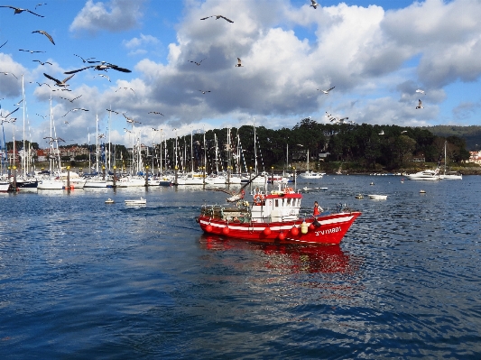 Landscape sea dock boat Photo