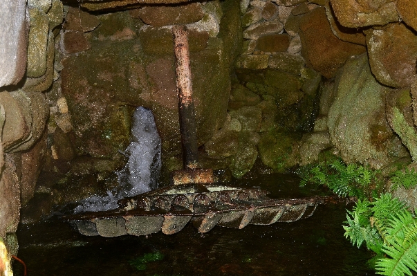 形成 池 洞窟 密林 写真