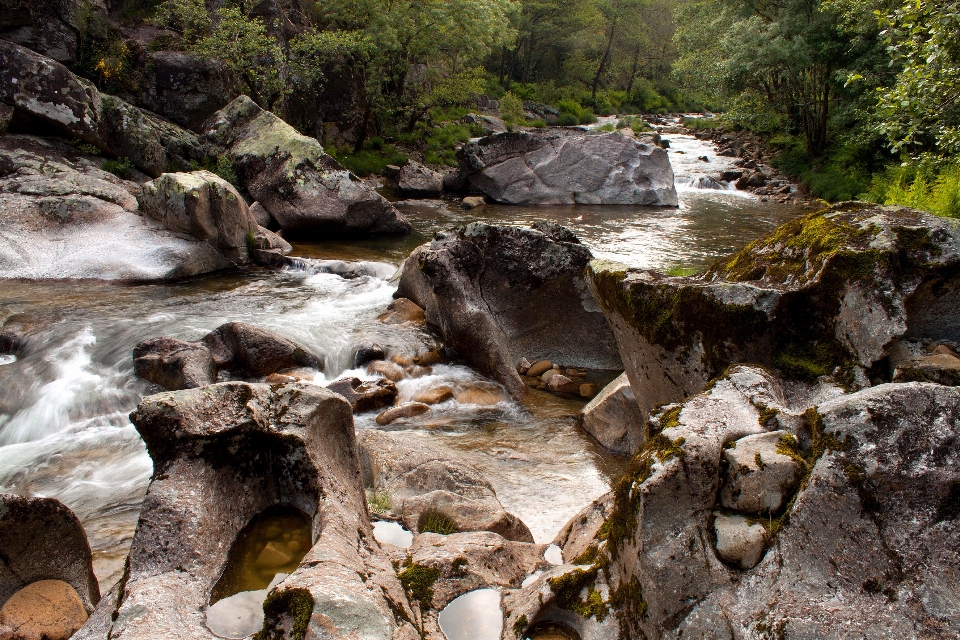 Agua naturaleza rock cascada