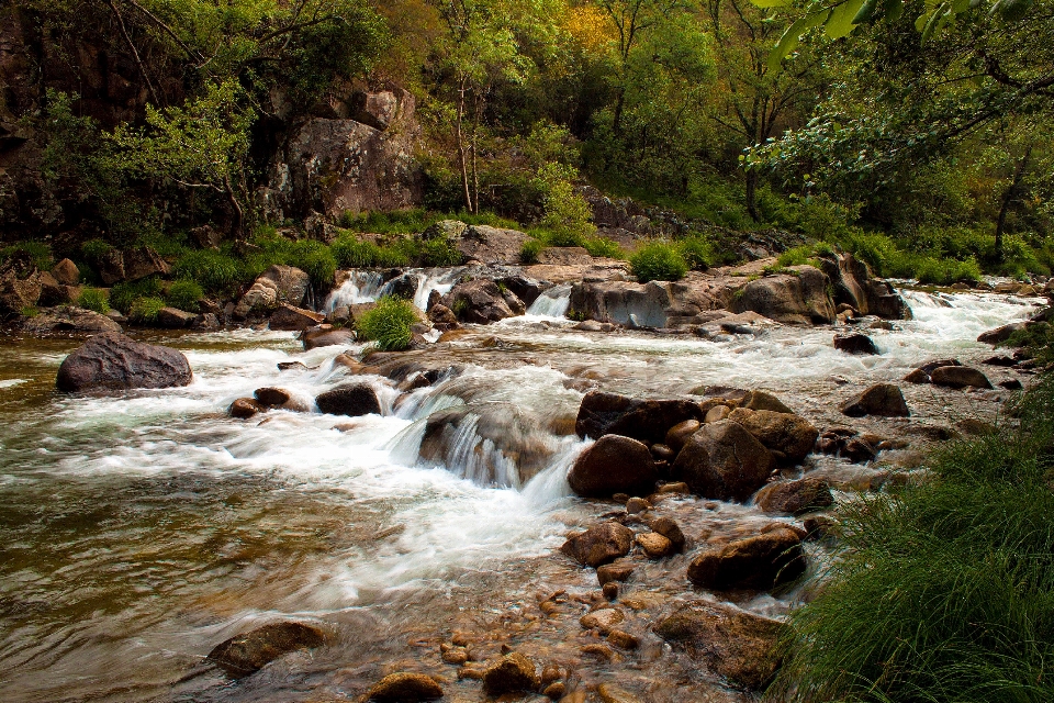 Landschaft wasser natur wald