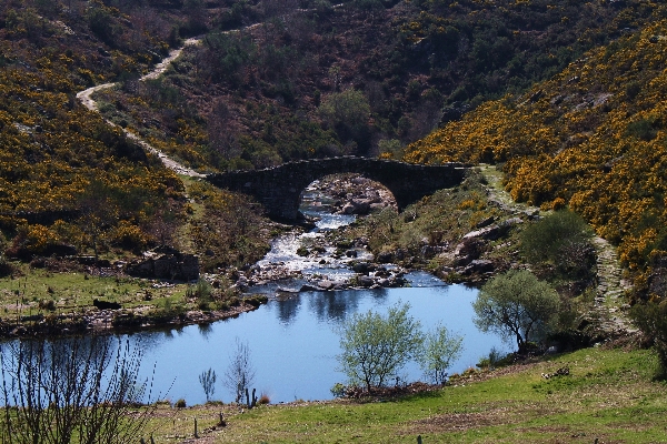 Landscape wilderness mountain hill Photo