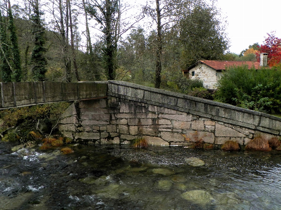 Ponte rio canal
 lago