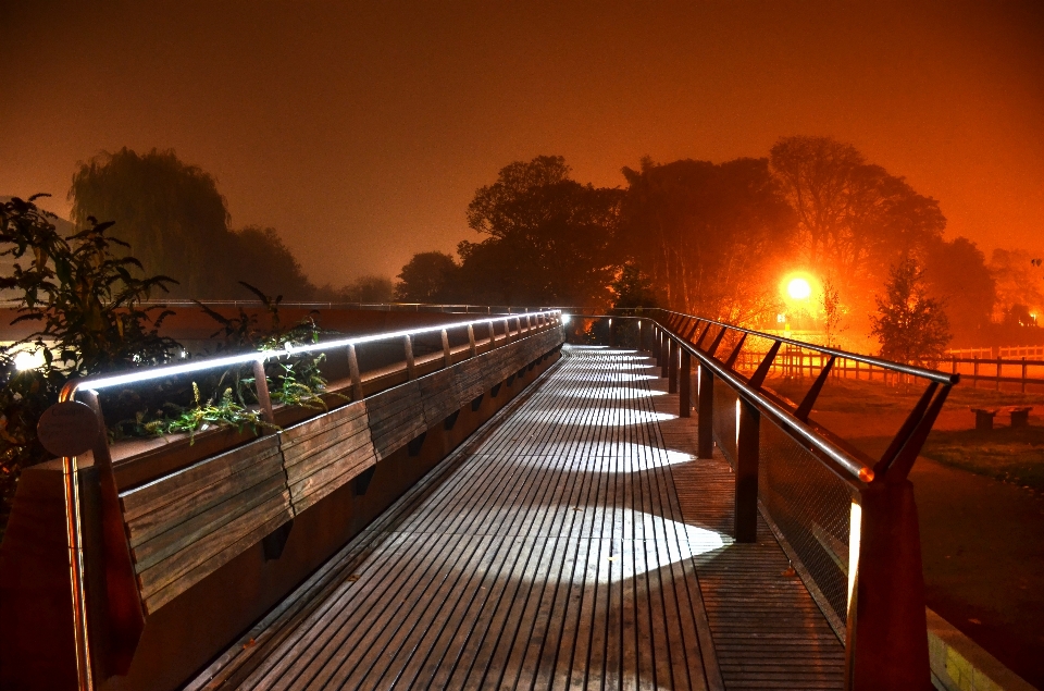 Licht struktur holz nebel