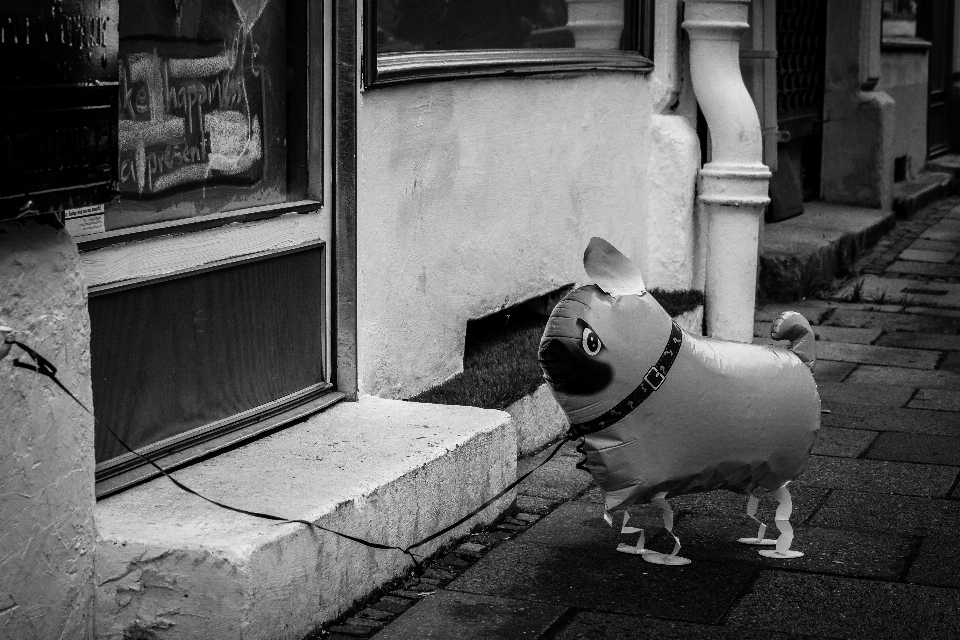 Schwarz und weiß
 straße weiss fotografie