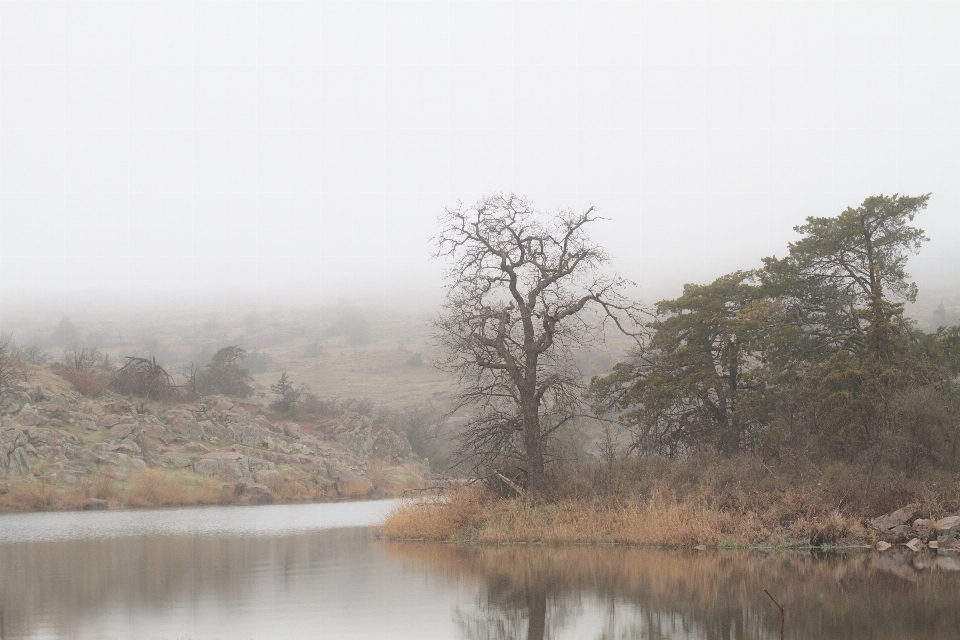 Paisagem árvore água natureza