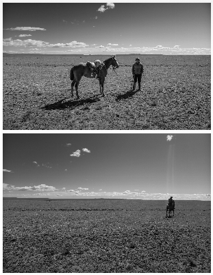 Meer küste horizont silhouette Foto