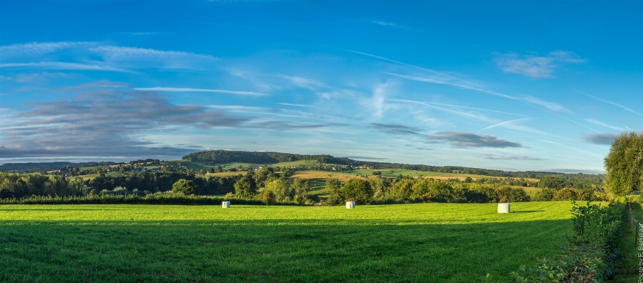 Landscape grass horizon cloud Photo