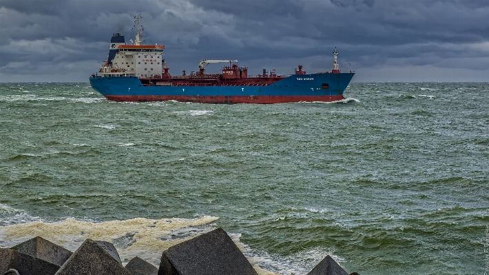 Sea coast ocean boat Photo