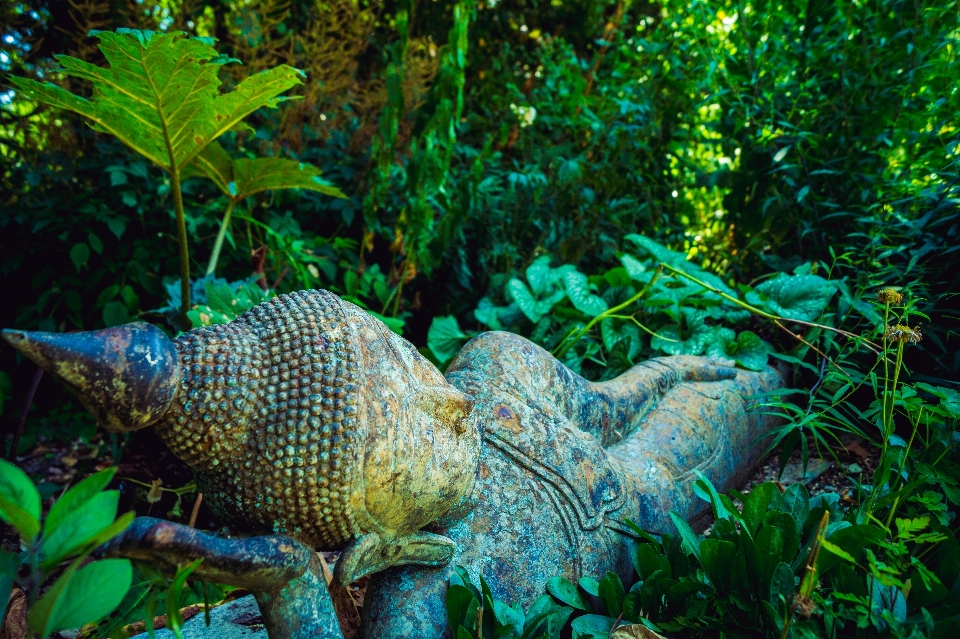 Bosque lluvia fauna silvestre estatua