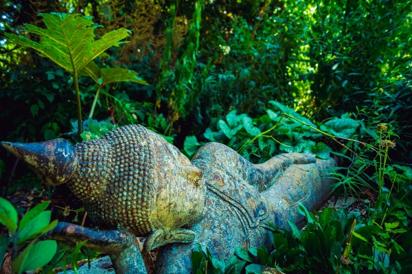 Forest rain wildlife statue Photo