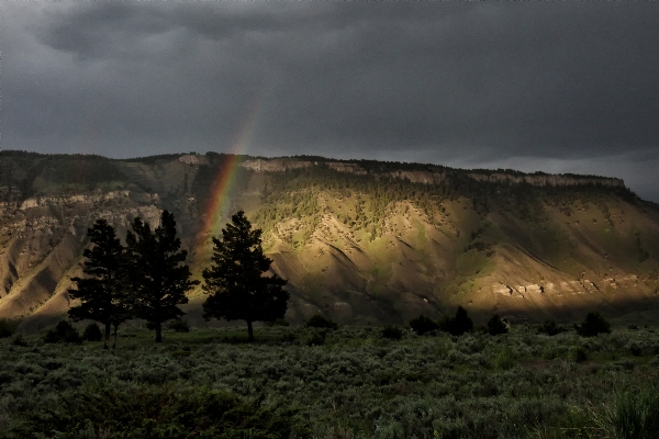 Landscape nature horizon wilderness Photo