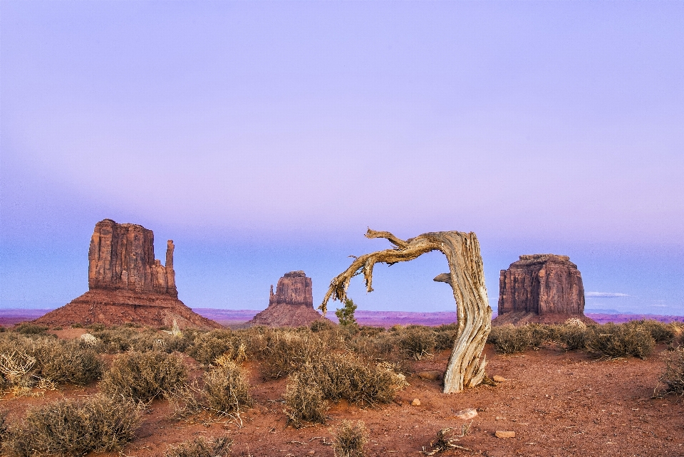 Landscape rock wilderness desert