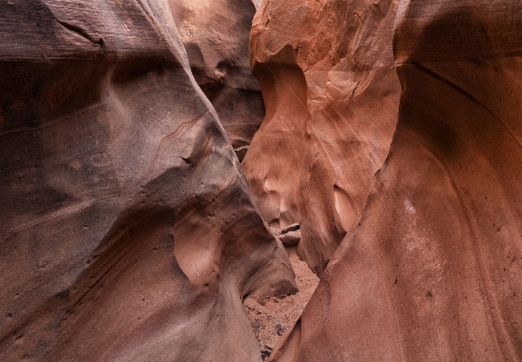 Photo Rock bois formation grotte