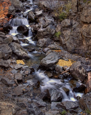 Landscape tree water nature Photo