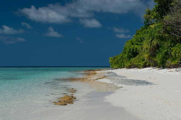 Beach sea coast sand Photo