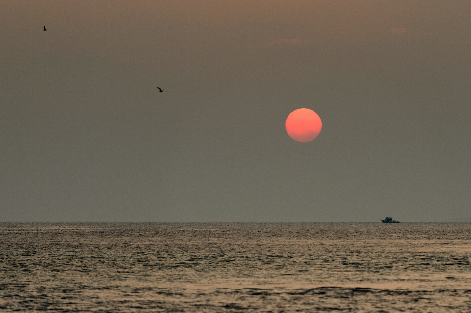 ビーチ 海 海岸 海洋