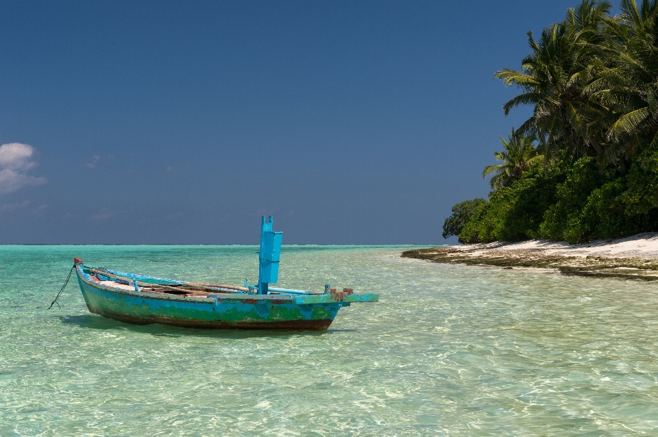 Strand landschaft meer boot