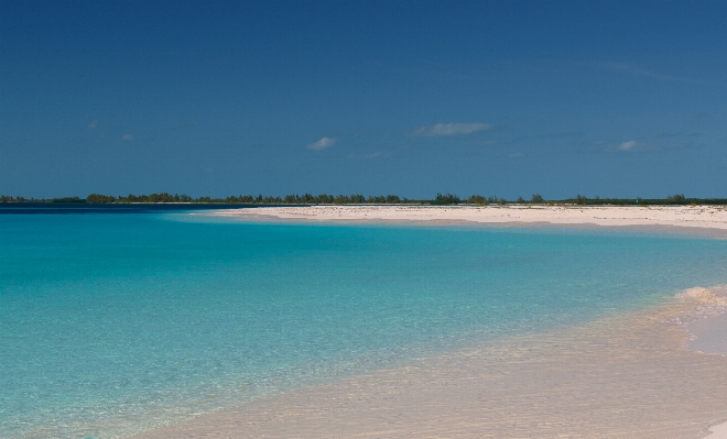 Beach sea coast sand Photo