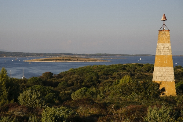 Landscape sea coast tree Photo