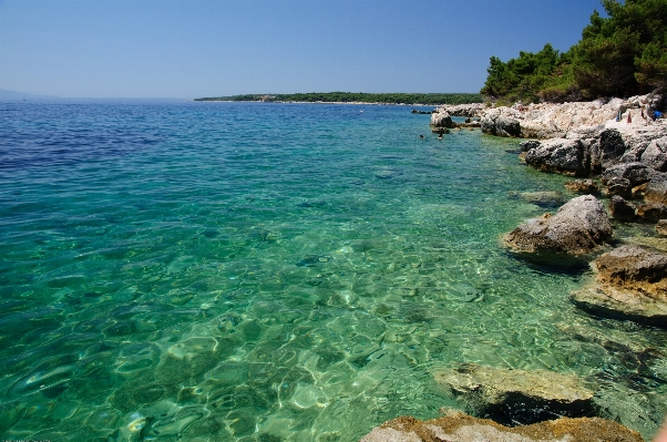 Beach sea coast rock Photo