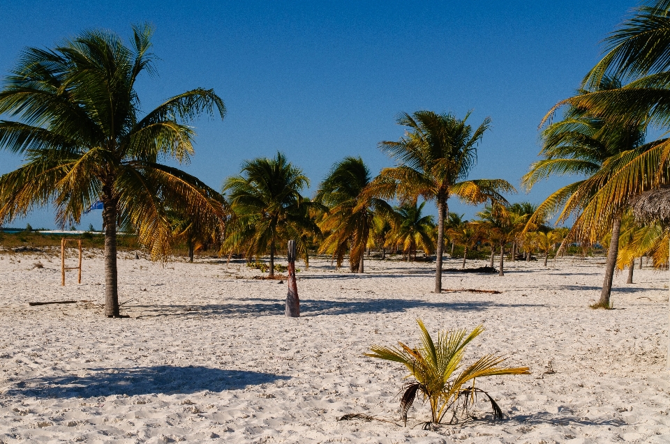 Beach landscape sea coast