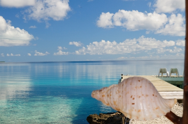 ビーチ 海 海岸 水 写真