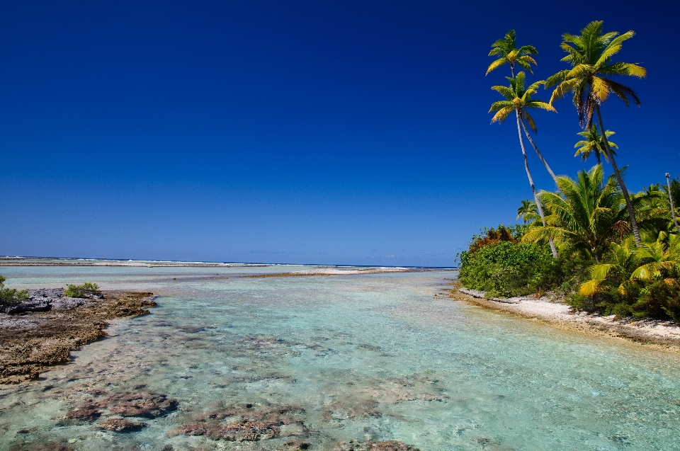 ビーチ 風景 海 海岸