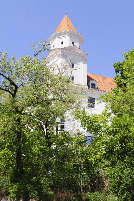 Tree flower building chateau Photo