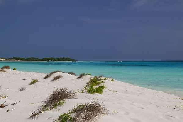 Beach sea coast sand Photo