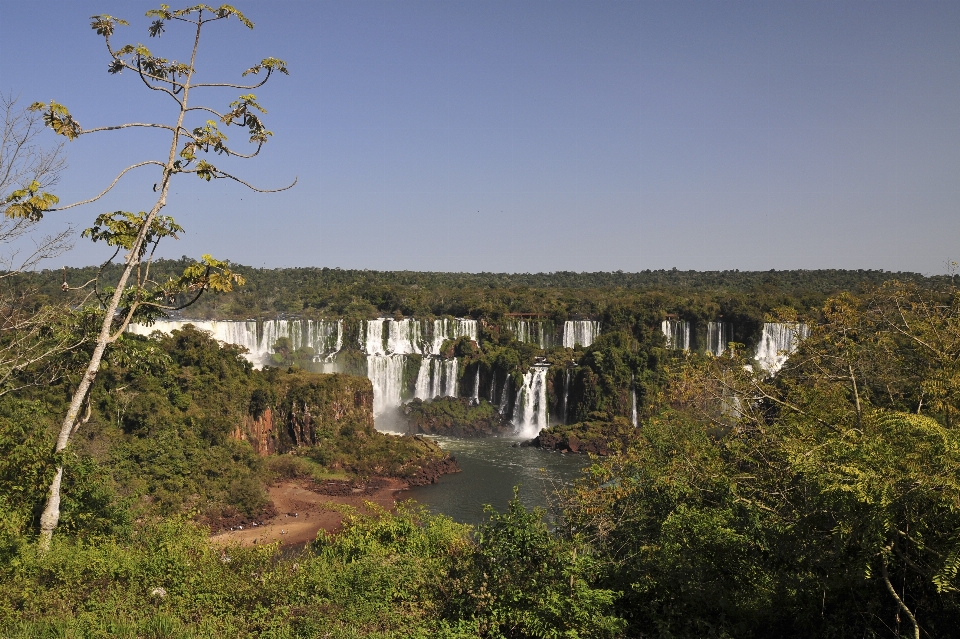 árbol cascada puente lago