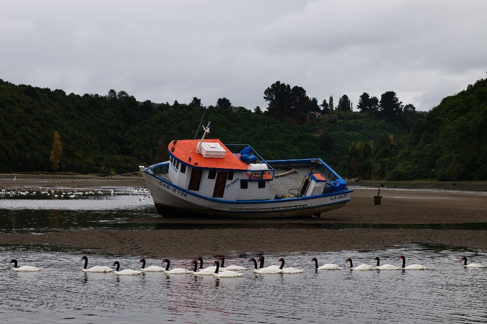 Mer bateau rivière véhicule