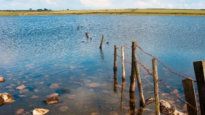 Beach sea coast water Photo