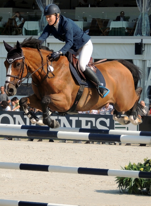 Hunt seat human action show jumping english riding