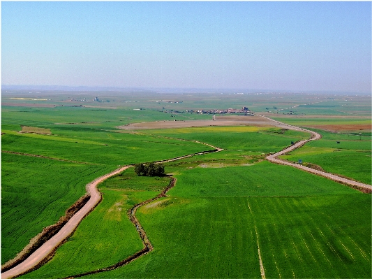 Landscape grass horizon marsh Photo