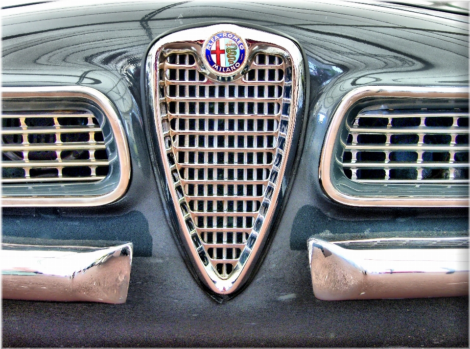 Car wheel vehicle grille