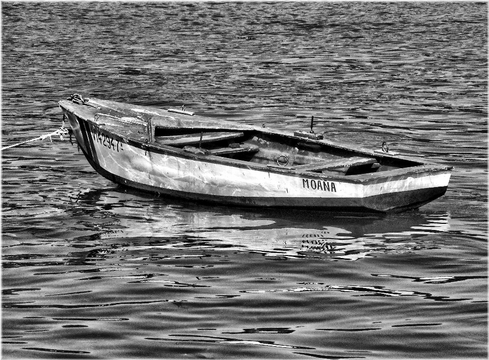 Schwarz und weiß
 boot schiff fahrzeug