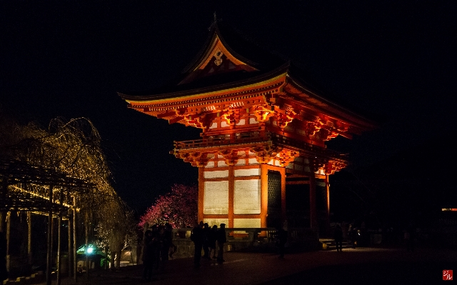 光 夜晚 晚上 地标 照片