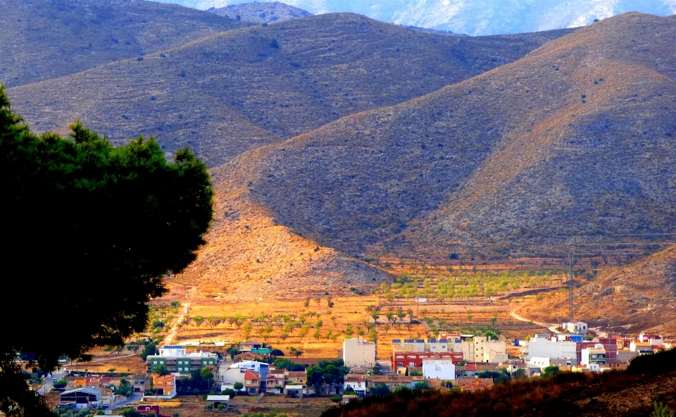 Paysage montagne lumière champ