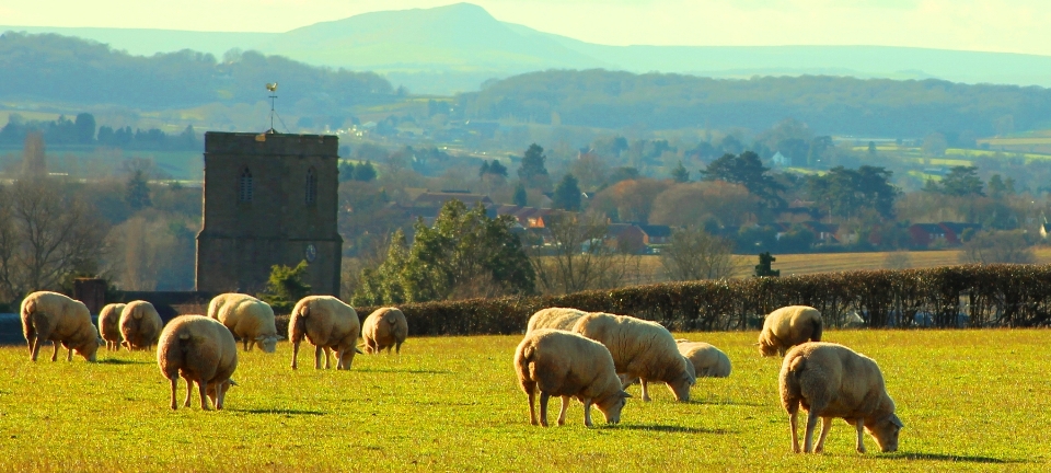 Paesaggio campo azienda agricola prato
