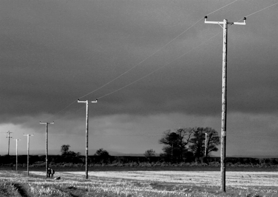 Cloud black and white perspective wind Photo