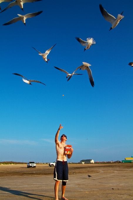 Playa mar naturaleza arena