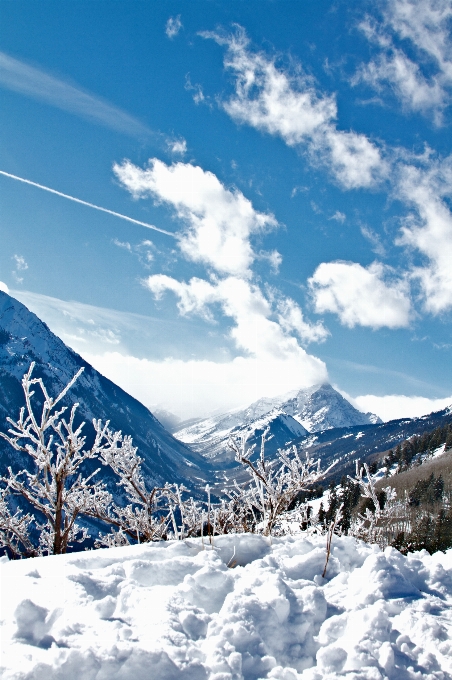 Paesaggio natura montagna nevicare