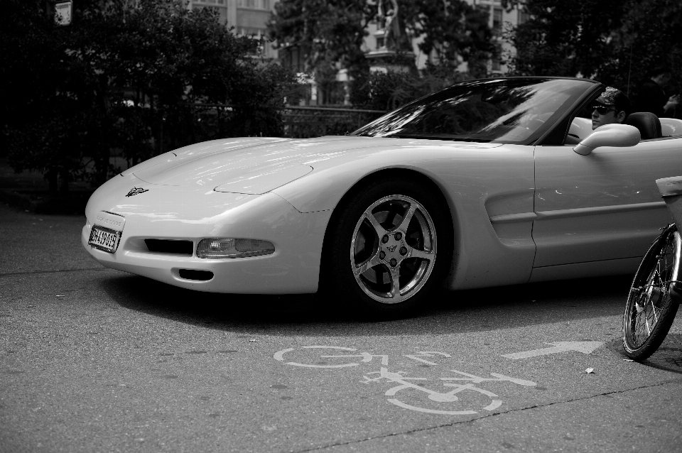 White street car photography