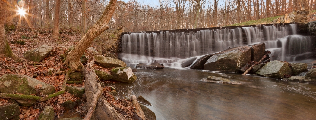 Landscape water nature forest Photo