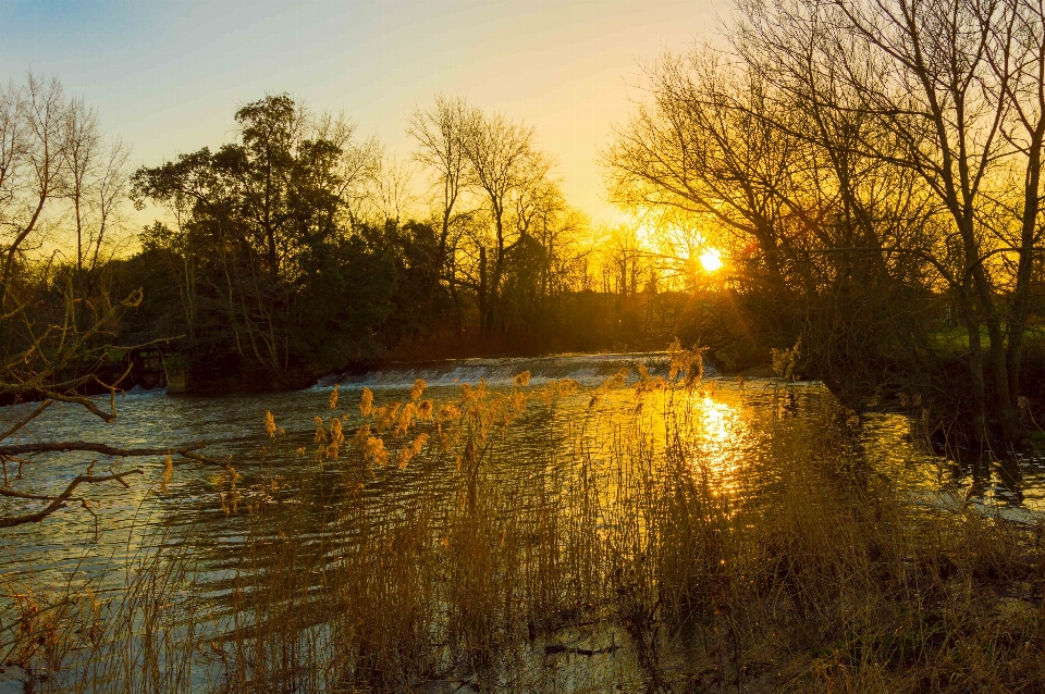 Krajobraz drzewo natura wschód słońca